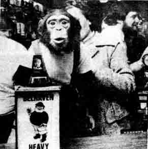 Stirling Castle Bar with monkey 1976